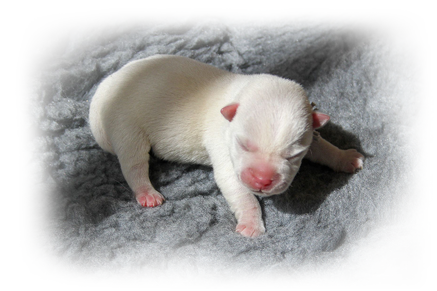 Bild 2a